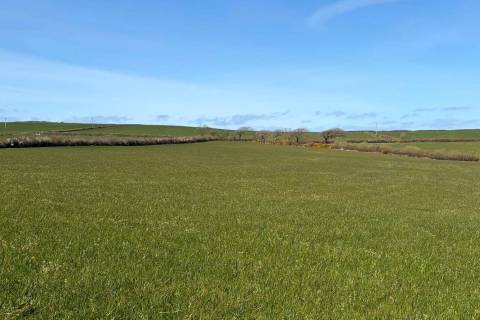 Property for auction in Devon