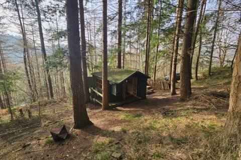 Property for auction in Denbigshire