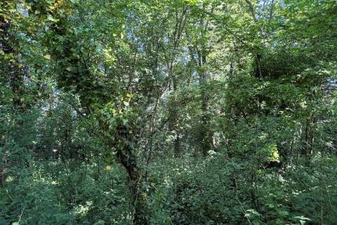 Property for auction in Somerset