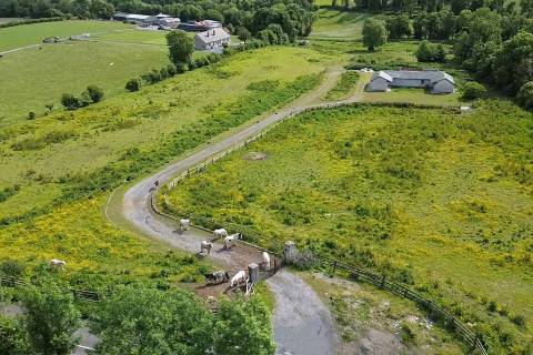 Property for auction in County Dublin