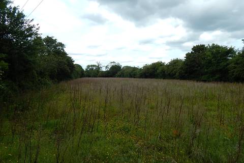 Property for auction in Norfolk