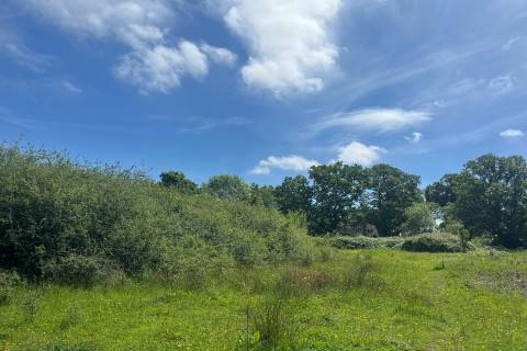 Property for auction in Dorset