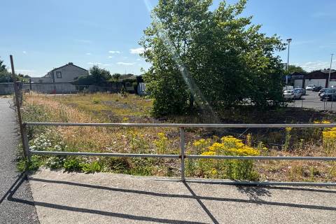 Property for auction in County Carlow