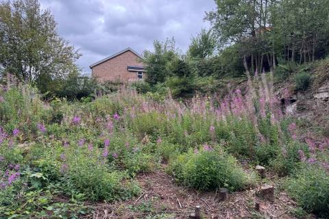 Property for auction in Gwent
