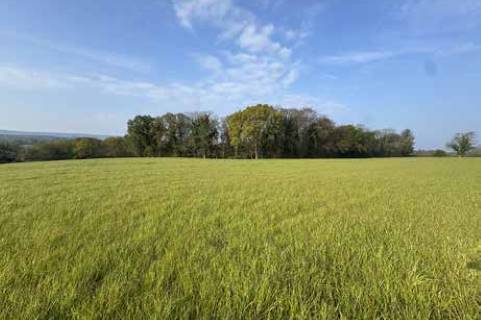 Property for auction in Dorset