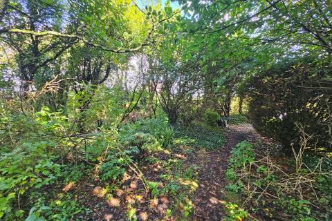 Property for auction in Dyfed