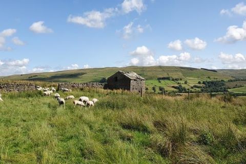 Property for auction in North Yorkshire
