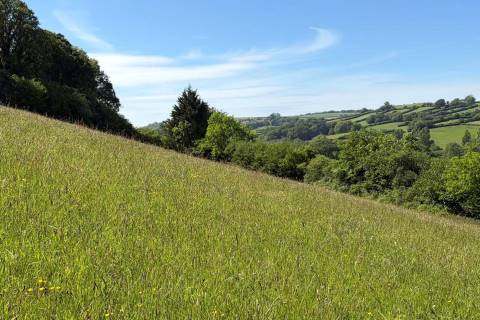Property for auction in Cornwall