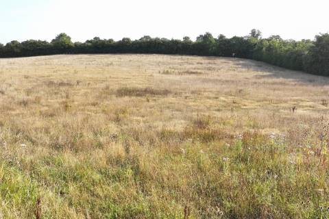 Property for auction in Buckinghamshire