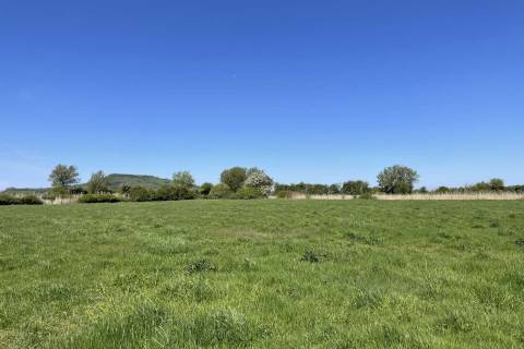 Property for auction in Somerset