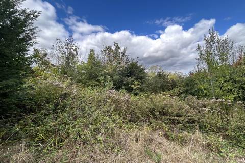 Property for auction in Surrey