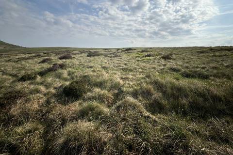Property for auction in Derbyshire