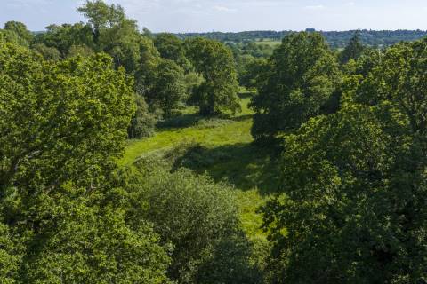 Property for auction in London