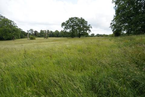 Property for auction in West Midlands