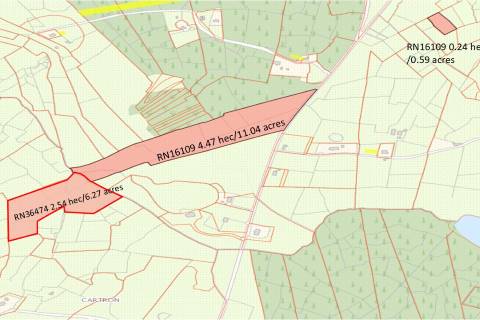 Property for auction in County Roscommon