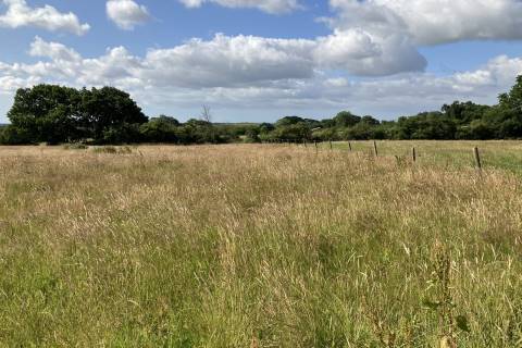 Property for auction in Dorset