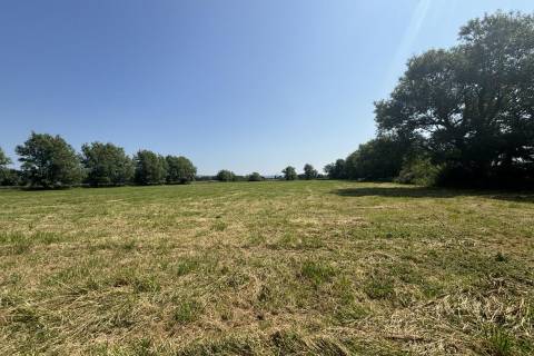 Property for auction in Somerset