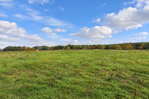 Property for auction in Hampshire