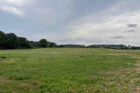 Property for auction in Dorset