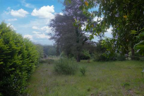 Property for auction in Hampshire
