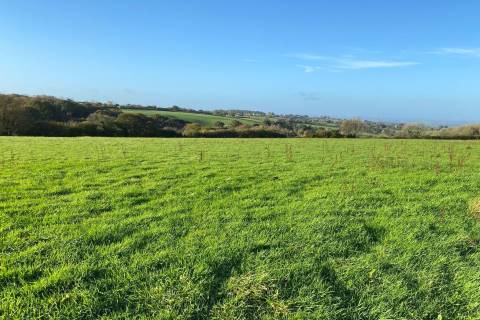 Property for auction in Devon