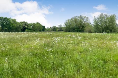 Property for auction in Nottinghamshire