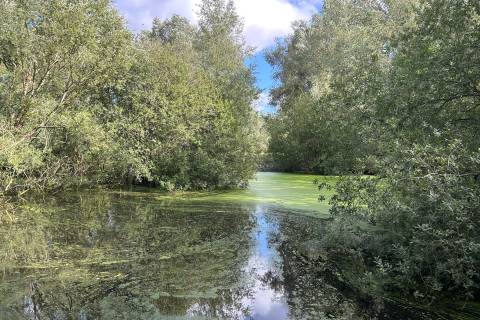 Property for auction in Suffolk