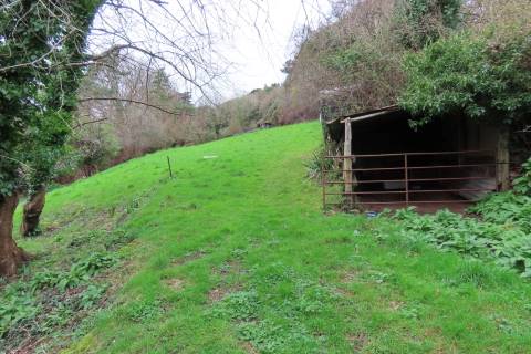 Property for auction in Somerset