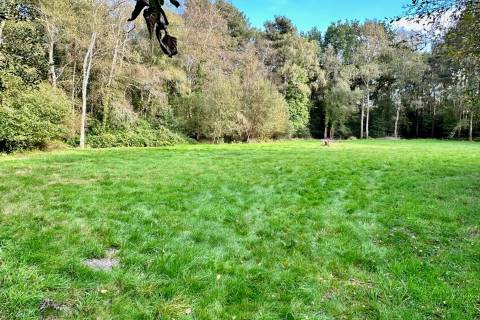 Property for auction in Dorset