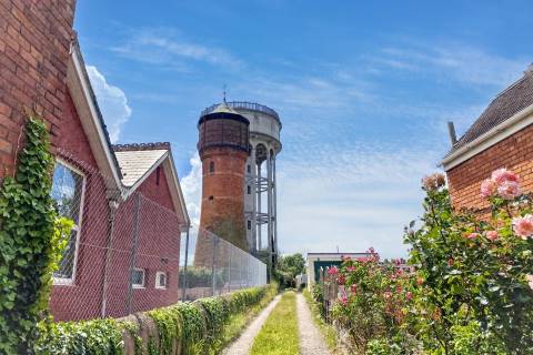 Property for auction in Somerset