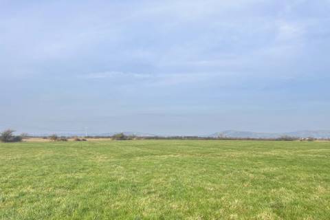 Property for auction in Somerset