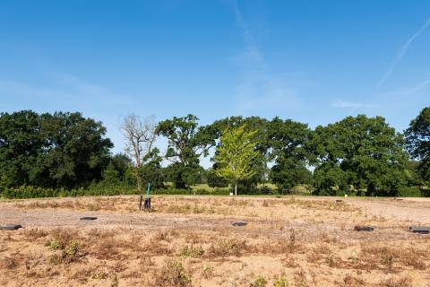 Property for auction in Norfolk