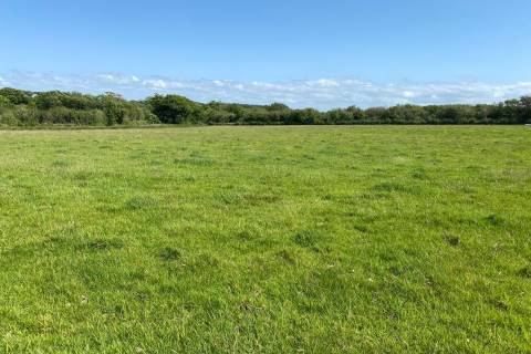 Property for auction in Devon