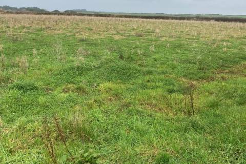 Property for auction in Cornwall