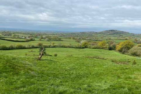 Property for auction in Dorset