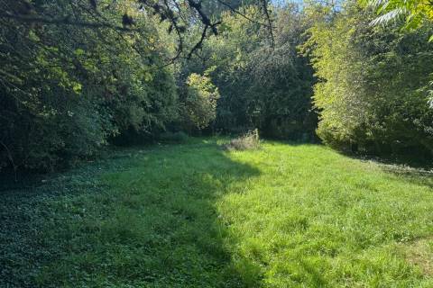 Property for auction in Hampshire