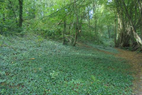 Property for auction in Cornwall