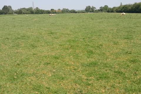 Property for auction in Somerset