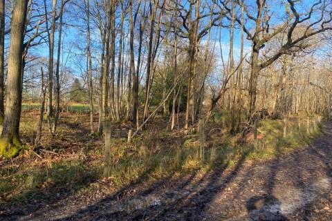 Property for auction in East Sussex