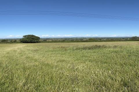 Property for auction in Somerset