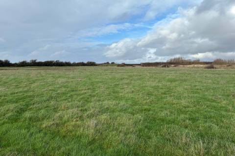 Property for auction in Somerset