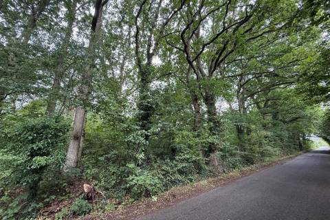 Property for auction in Kent