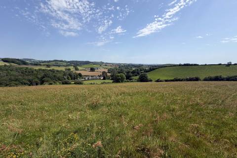 Property for auction in Dorset