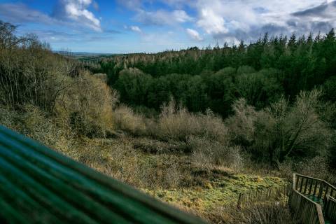 Property for auction in Devon