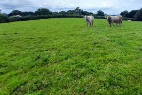 Property for auction in Somerset
