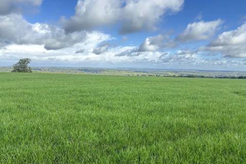 Property for auction in Somerset