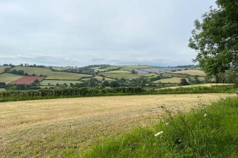Property for auction in Devon