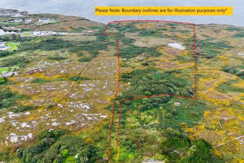 Property for auction in County Galway