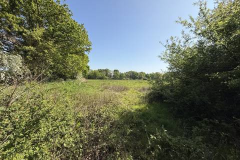 Property for auction in West Sussex