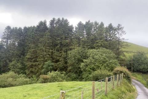Property for auction in Powys